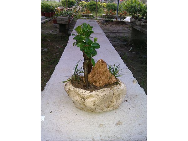 Cement flowerpot